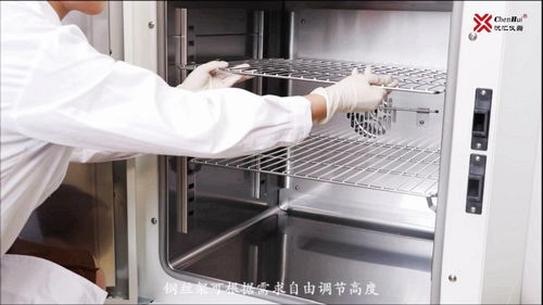 of 22gw 鼓風(fēng)干燥箱 實(shí)驗(yàn)室烘箱 干熱式滅菌器 沉匯儀器